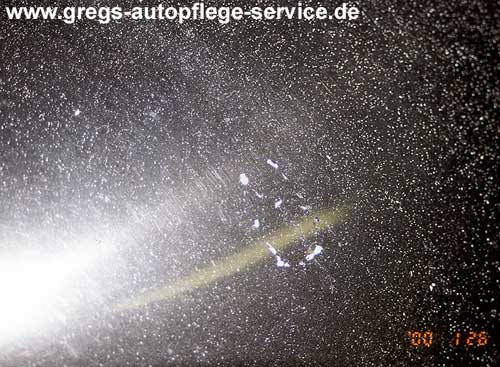 Vogelkotverätzungen